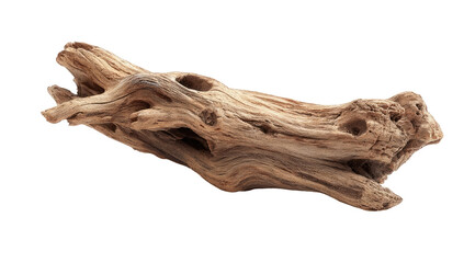 Driftwood piece, light brown, irregular shape,  smooth texture