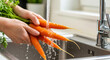 © Aurora Aesthetics - A person scrubbing a bunch of fresh carrots with soil under running water in a sink