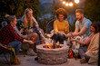 © luckybusiness - Friends sitting by the fire roasting marshmallows at night and having fun together.