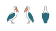 © cheng - Three different views of a pelican, including a side view from two angles and a back view, in a simple graphic style on a white background
