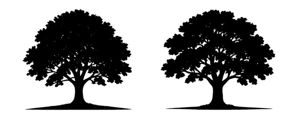two trees are shown in black and white. the trees are very similar in size and shape. vector. silhou