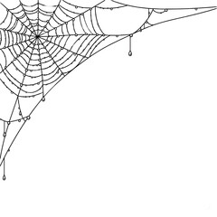 spider web fram