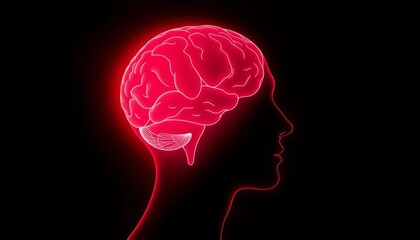 Wall Mural - Neon red head silhouette, brain outline, dark background,  science,   enigma