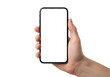 © Anna - A clean, well-manicured, gender-neutral adult hand holding a modern, sleek black smartphone with a blank white screen, isolated on a transparent infinity background with copy space. Concept for