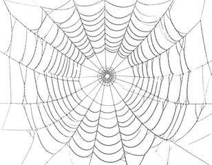  Detailed Spider Web with Dew Drops and Center Ring, Classic Halloween Motif, isolated on transparent background