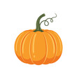 © Rafiya1727 - A whimsical orange pumpkin with a green stem and curling vine perfect for autumn harvest and halloween decorations