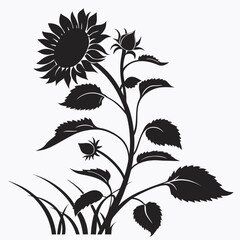 vector illustration of a plant