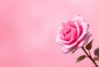 © yoyoh - Soft blush to vibrant rose pink gradient background, background, graphic