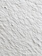 © Sanrobone - Close-up of textured, off-white surface with subtle ridges and bumps
