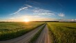 © Gillian - panorama of a field with a dirt road and a blue sky with the setting sun