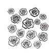 © garenx - A Beautiful Collection of Hand-Drawn Black and White Rose Outlines and Sketches