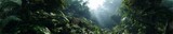 Exploring lush rainforest depths hdr panoramic view nature landscape vibrant green environment