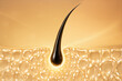 © J9P - 3D illustration of hair root growing from skin cells, symbolizing strength, growth, and nourishment. Perfect for haircare, cosmetic advertising, medical research, and healthcare concepts.