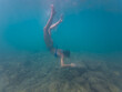 © Dmitri - Young woman in a bikini gracefully dives deep underwater, exploring the mysterious rocky seabed in the vast blue ocean.