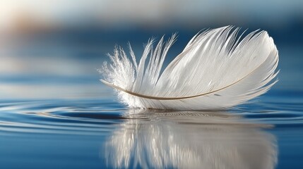 Wall Mural - single white feather floating on calm, crystal-clear water, symbolizing peace and tranquility.