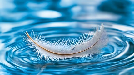 Wall Mural - A soft feather gently landing on calm blue water, creating ripples in a peaceful still life scene.