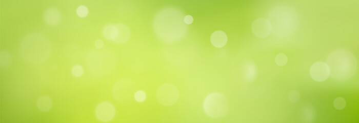 Wall Mural - green summer backdrop with soft blur and light effect. fresh natural abstract overlay with glowing c