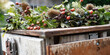 © gudrun - Decorative wreath with autumn berries in a basket. Colorful, homemade wickerwork made from seasonal berries and shrubs on wooden table. Floristry for autumen and thanksgiving.