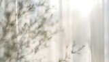 Blurred tree branch shadow overlay on white curtain for natural and organic feel isolated on white background