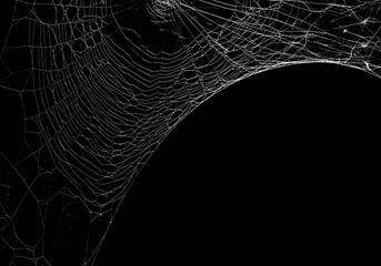 Intricate spiderweb against a dark background macro detail