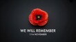 © j  U  N  U - Remembrance day poppy flower with we will remember text on black background