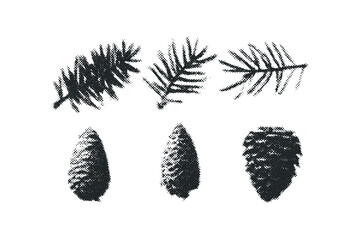 Halftone Pine Branch and Cone. Vector hand drawn illustration
