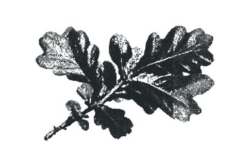 Wall Mural - Halftone oak leaves branch transparency. Vector hand drawn illustration