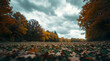 © Nadiya - Wide autumn landscape with colorful fallen leaves, overcast sky, and vibrant trees in the background
