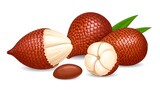 A detailed illustration of several salak fruit, showcasing their characteristic textured skin and vibrant interior.