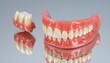 © Silvy - Close-up view of dental prosthetics, showing a partial denture and a detached section, meticulously crafted and displayed on a reflective surface.