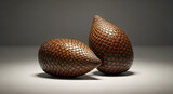 Two salak fruits, brown scales, close-up studio shot, subtly lit, resting on a neutral background.