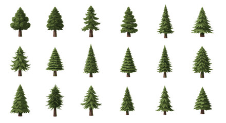 Collection of various evergreen trees with different shapes and sizes.