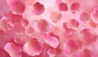 © guntur - Delicate rose petals gently floating, soft pink hues