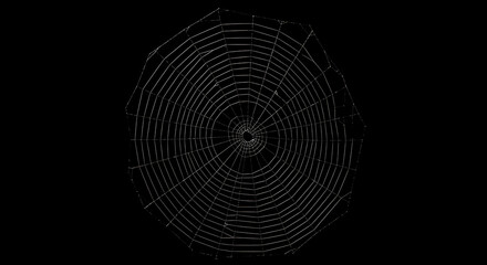 Black background with single spider web circle