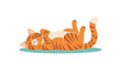 © Emon - Cute orange tabby cat sleeping on its back with paws up in playful pose adorable feline relaxing in a cozy environment full of joy and contentment