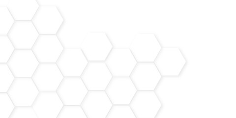 Wall Mural - Abstract background with hexagon, modern abstract vector polygonal pattern. Futuristic honeycomb mosaic white background,white and gray hexagon honeycomb geometric copy space.