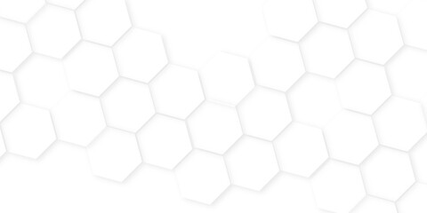 Wall Mural - Abstract background with hexagon, modern abstract vector polygonal pattern. Futuristic honeycomb mosaic white background,white and gray hexagon honeycomb geometric copy space.