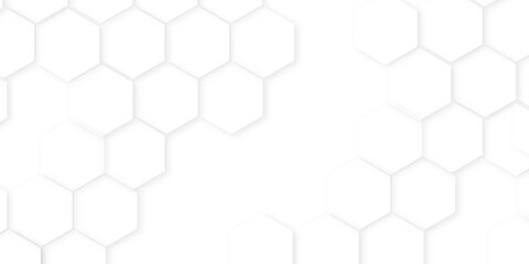 Wall Mural - Abstract background with hexagon, modern abstract vector polygonal pattern. Futuristic honeycomb mosaic white background,white and gray hexagon honeycomb geometric copy space.