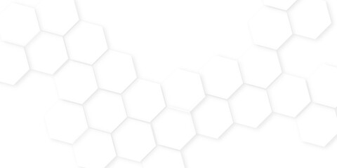 Wall Mural - Abstract background with hexagon, modern abstract vector polygonal pattern. Futuristic honeycomb mosaic white background,white and gray hexagon honeycomb geometric copy space.