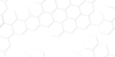 Wall Mural - Abstract background with hexagon, modern abstract vector polygonal pattern. Futuristic honeycomb mosaic white background,white and gray hexagon honeycomb geometric copy space.