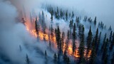 Wildfire burning intensely through a dense conifer forest in Northern Alberta, Canada, with smoke rising high in the air during the daytime