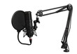 © Farina - Illustration of professional microphone with pop filter and arm isolated on transparent background