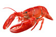 © Kamrul - Lobster isolated on transparent or white background, png