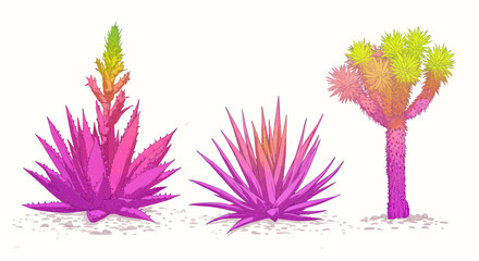 Colorful Desert Plants Agave and Joshua Tree Illustration.