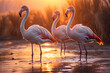 © photosaint - Flamingos wade through shallow water at sunset in a serene coastal environment