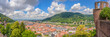 Breathtaking summer panorama of Heidelberg, showcasing vibrant rooftops and lush landscapes