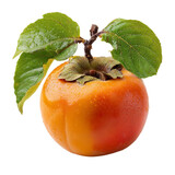  Fuyu persimmon fruit on a white background