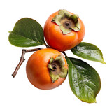 Fuyu persimmon fruit on a white background
