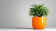 © Sopotch - Spider Plant in Orange Pot on Light Gray Background