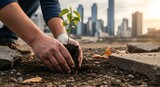 Human hands planting a young tree sapling in urban landscape soil